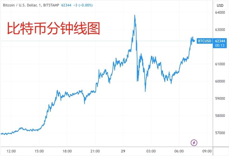 比特币k线图:比特币k线图 十年