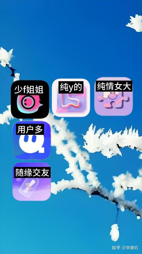不收费的国际交友软件:不收费的国际交友软件是真的吗