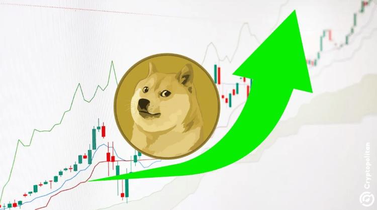 xrp价格今日行情:狗狗币涨到30000