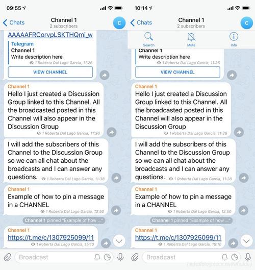 telegeram网站链接:telegraph官网版下载