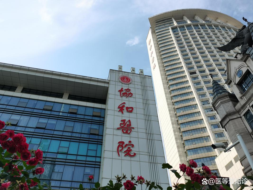 协和4+4最新消息:协和医院官方官方网站