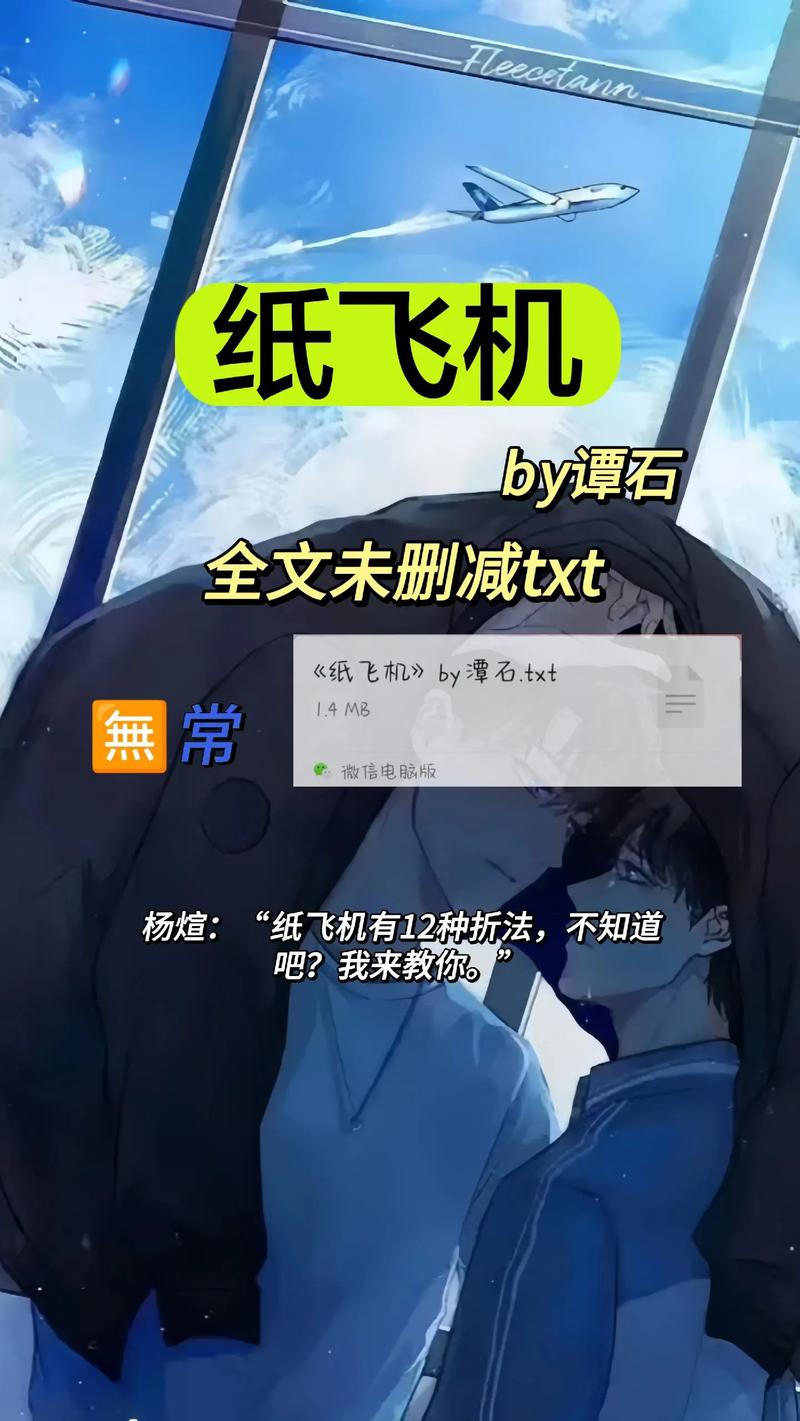 纸飞机by潭石讲了个什么故事:纸飞机by 潭石主角是亲兄弟吗