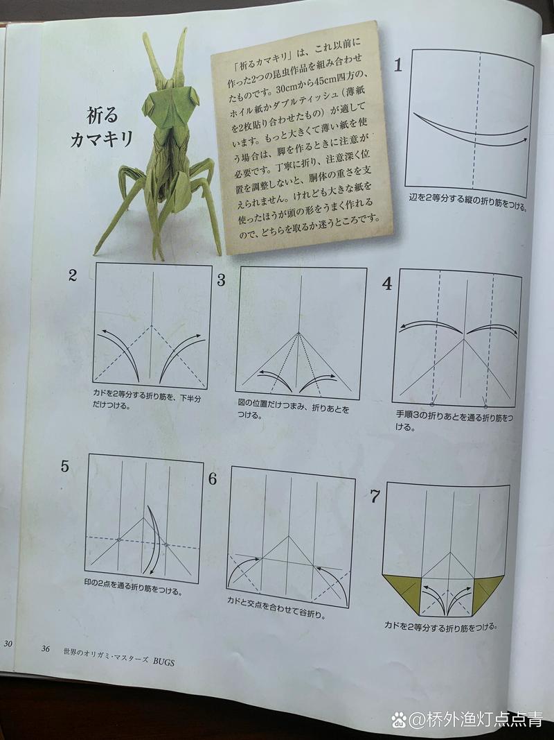 世界上最可怕的折纸怎么折:世界上最可怕的折纸怎么折的