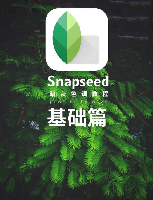 snapchat怎么改为中文:snapchat怎么设置中文语言