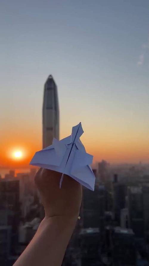 123纸飞机君做的仿真机的简单介绍