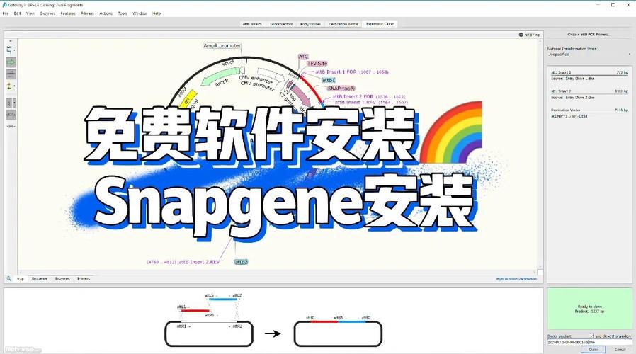 snapany:万能视频图片解析下载snapany