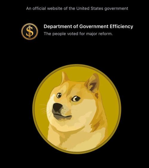包含马斯克狗狗币和柴犬币最新消息的词条