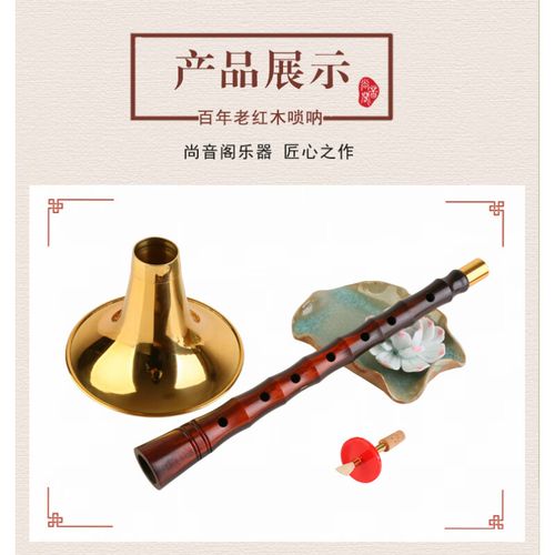 索拉是一种什么乐器:索拉是一种什么乐器名称