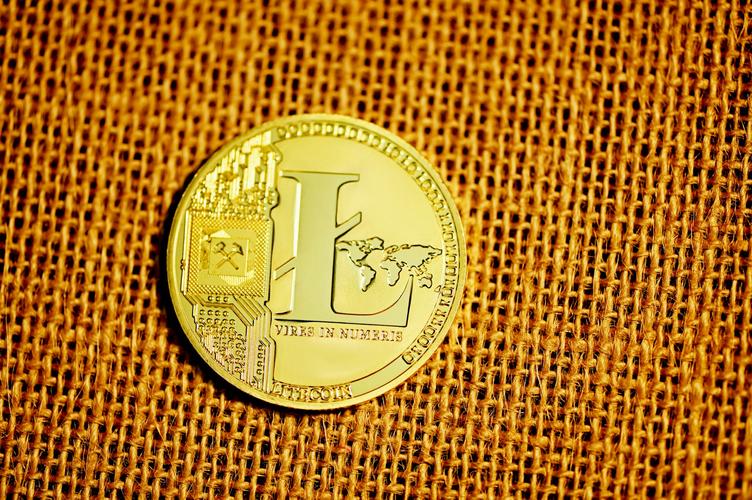 莱特币最高多少钱一枚:莱特币历史最高达到多少美元?