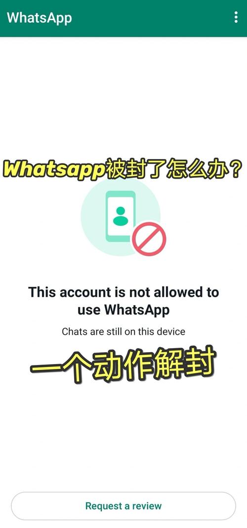 whatsapp被禁用怎么解开:whatsapp被对方封锁了还能发送信息吗