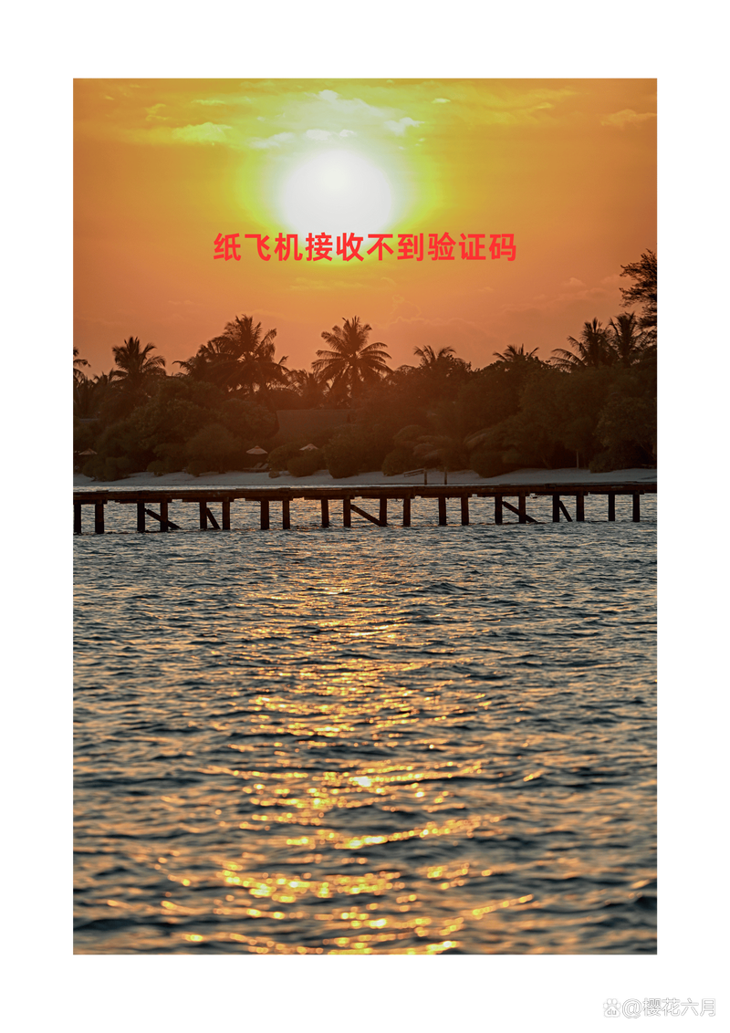 关于TG纸飞机苹果版的信息