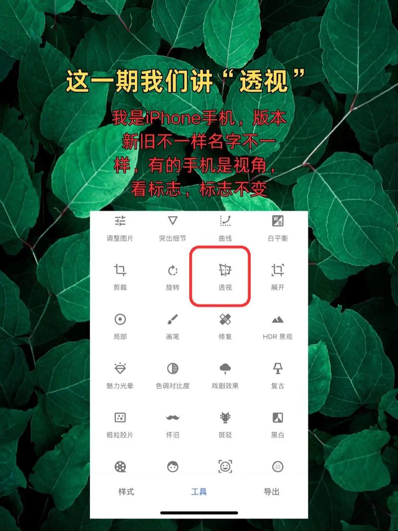 snapchat中文怎么调:snapchat在哪里改中文