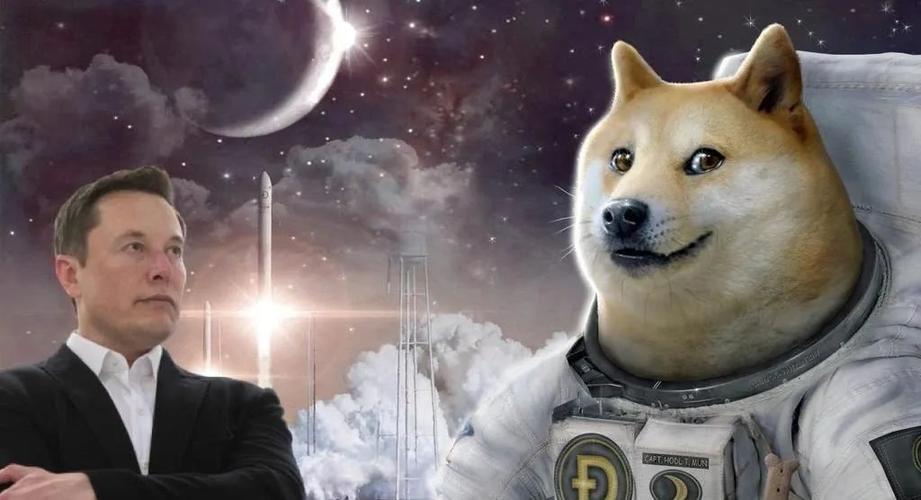 狗狗币今日最新价格比特币:狗狗币2025年能涨多少钱