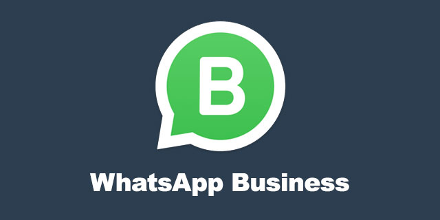 whatsapp安卓版下载安卓版-whatsapp安卓手机版下载v22020624免费下载