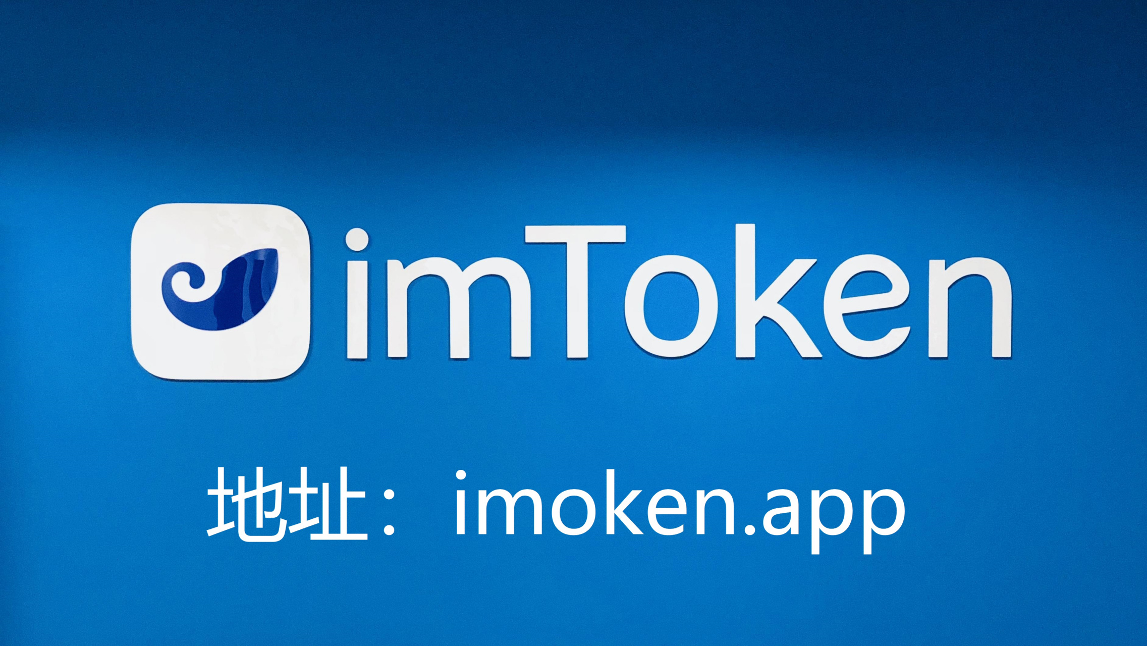 token创建钱包怎么填-token pocket钱包怎么创建