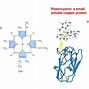 plastocyanin-plastocyanin翻译