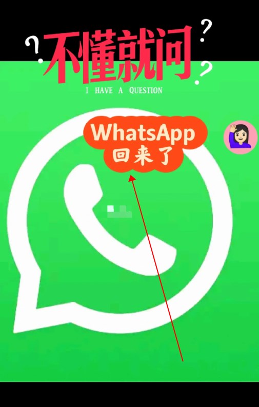 包含whatsapp中文叫什么中国境内有哪些社交软件可以用的词条