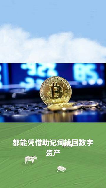 imtoken钱包官网-imtoken钱包打不开