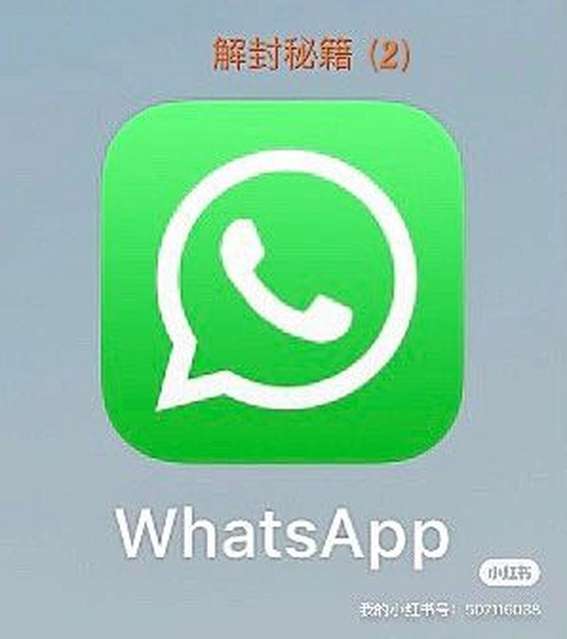 下载whatsapp怎么用不了-whatsapp下载安装后为什么不能用