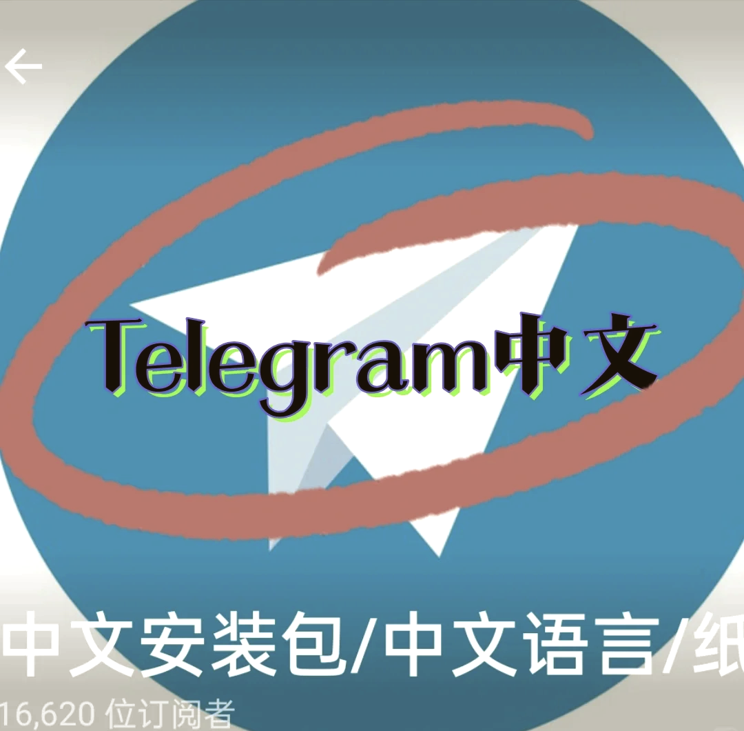 telegram网页版上不去的简单介绍