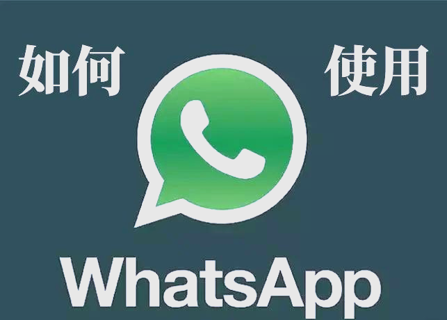 whatsapp怎么读中文-whatsapp在哪里设置中文