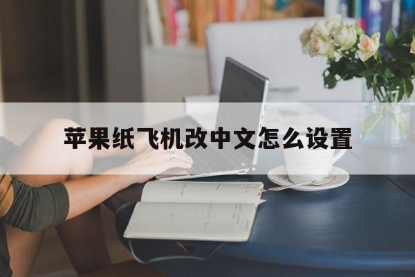 苹果纸飞机改中文怎么设置,苹果纸飞机怎么弄成中文版的