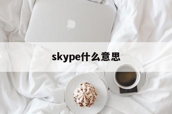 skype什么意思,skype什么意思啊