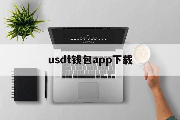 usdt钱包app下载,usdt钱包app下载教程