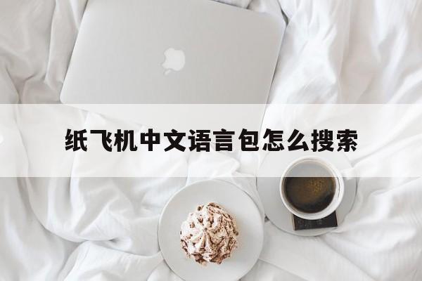 纸飞机中文语言包怎么搜索,纸飞机怎么弄中文要输入什么