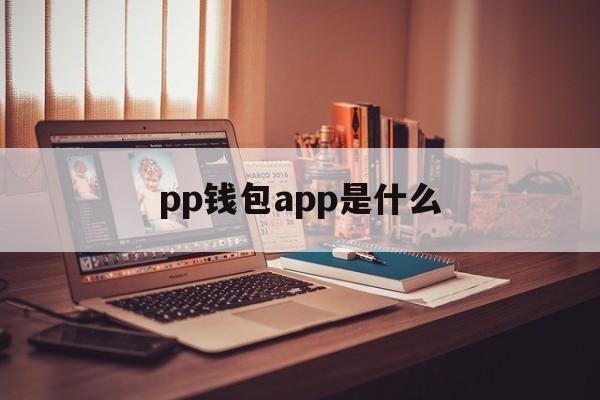 pp钱包app是什么,pp钱包是真的还是假的