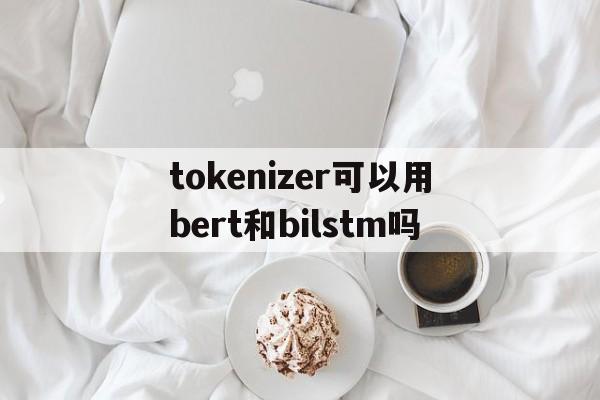 包含tokenizer可以用bert和bilstm吗的词条