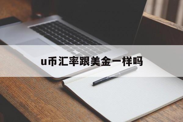 u币汇率跟美金一样吗,u币汇率跟美金一样吗现在