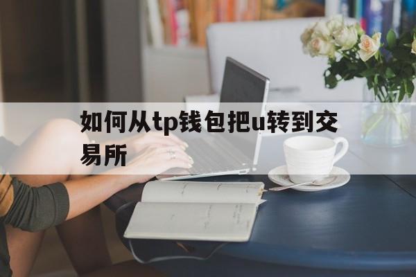 如何从tp钱包把u转到交易所,怎么把交易所的usdt转入tp钱包