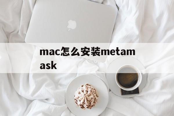 mac怎么安装metamask,mac怎么安装windows10