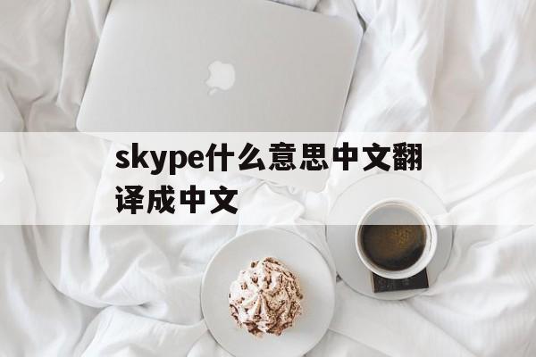 skype什么意思中文翻译成中文,skype什么意思中文翻译成中文呢