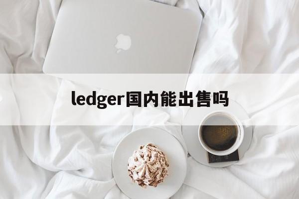 关于ledger国内能出售吗的信息